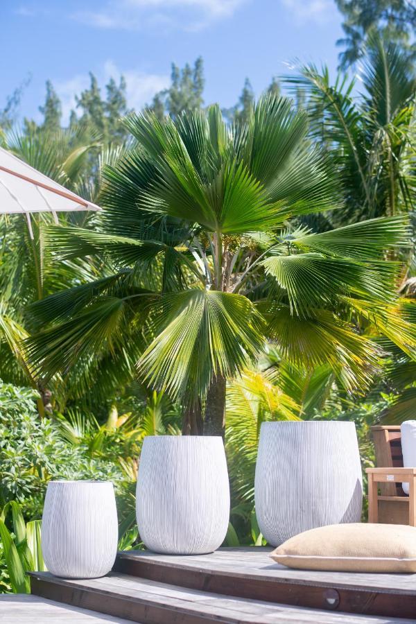 Motu Nao Nao Private Island Villa Opoa Eksteriør bilde